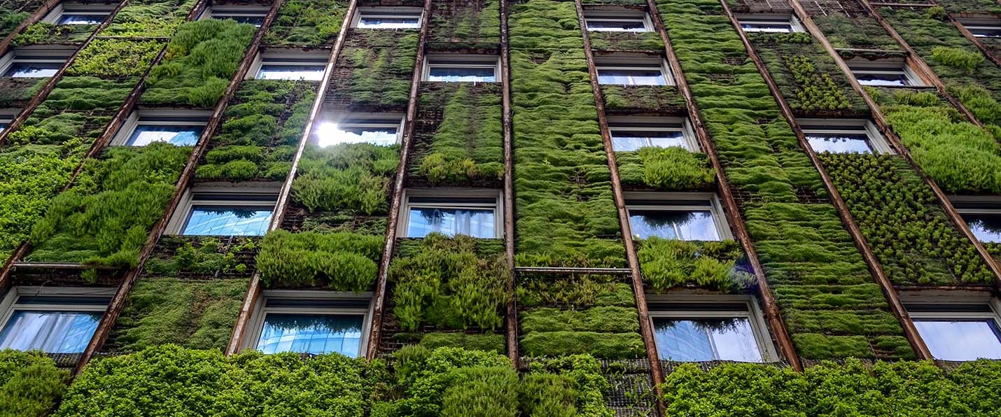 insight featured image