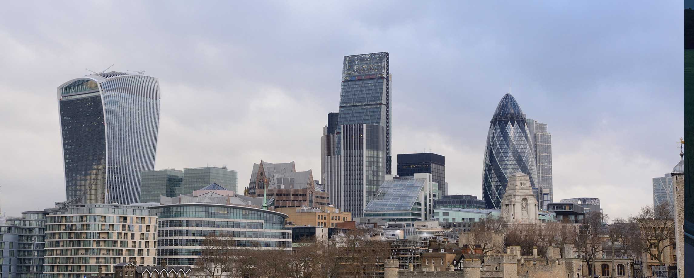 insight featured image